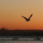 istanbul-la-torre-di-leandro istanbul-la-torre-di-leandro