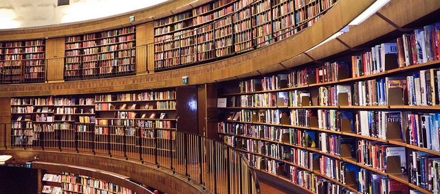 "biblioteca