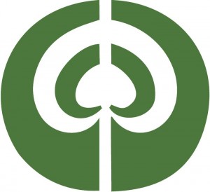 aisre-grande-verde-trasparente_700x_06b4911bec120e7d53fa19fb92222eaf
